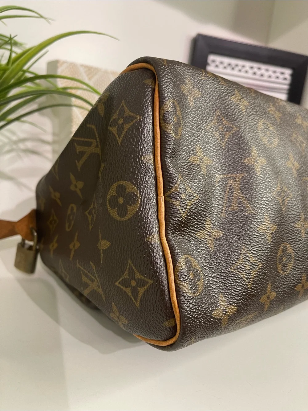 Louis Vuitton Monogram Speedy 25